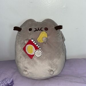 Pusheen with chip bag